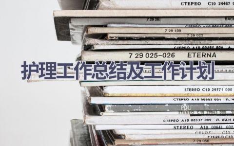 护理工作总结及工作计划12篇范文