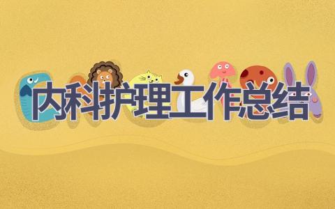 2023年内科护理工作总结17篇范文