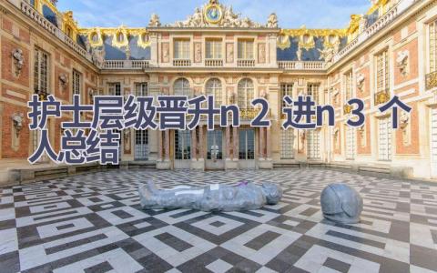 护士层级晋升n2进n3个人总结9篇范文