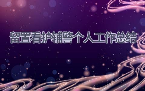 留置看护辅警个人工作总结6篇范文