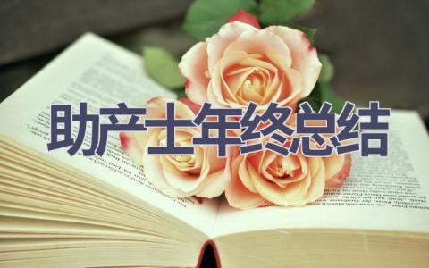 助产士年终总结7篇范文