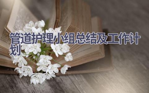 管道护理小组总结及工作计划10篇范文