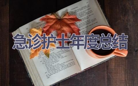 急诊护士年度总结13篇范文