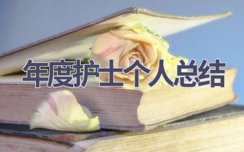 2024年度护士个人总结18篇范文