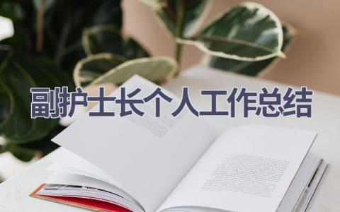 副护士长个人工作总结17篇范文