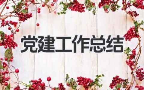 党建工作总结