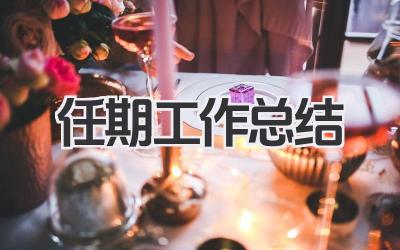任期工作总结
