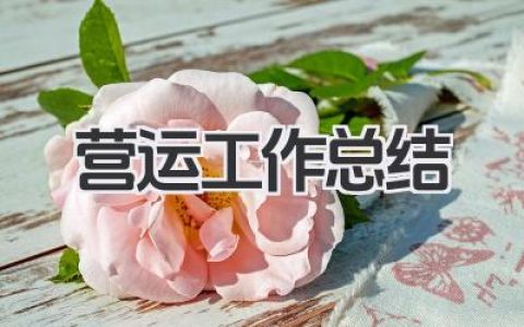 营运工作总结