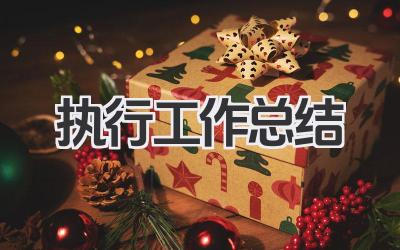 执行工作总结