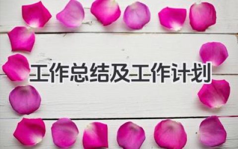 工作总结及工作计划