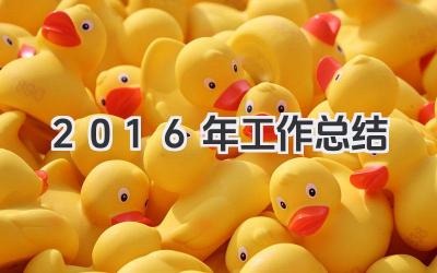 2016年工作总结