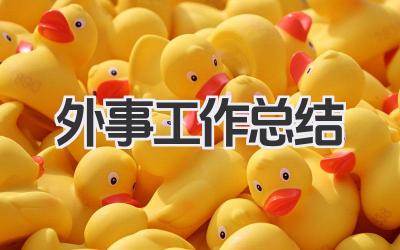 外事工作总结