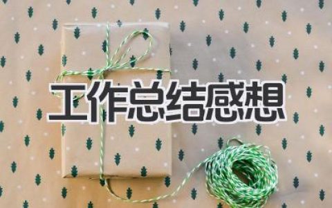 工作总结感想