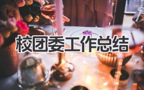 校团委工作总结