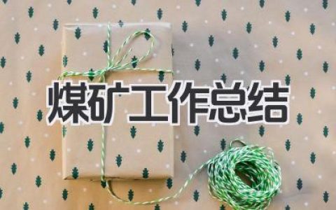 煤矿工作总结