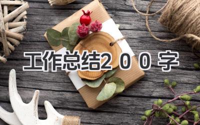 工作总结200字