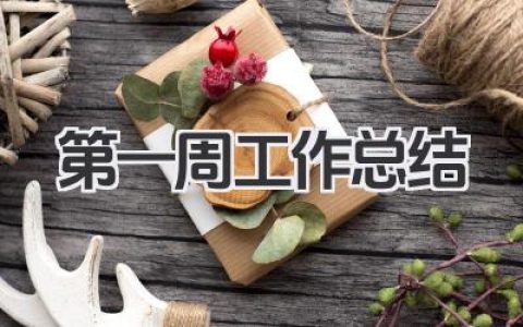 第一周工作总结