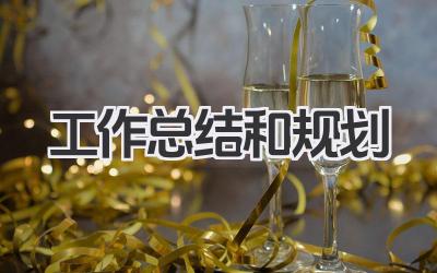 工作总结和规划