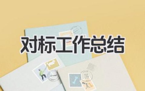 对标工作总结