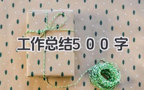 工作总结500字
