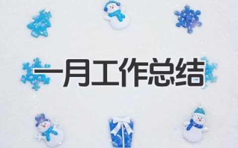 一月工作总结