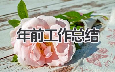 年前工作总结