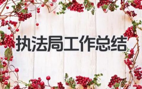 执法局工作总结