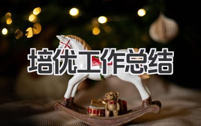 培优工作总结