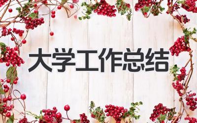 大学工作总结