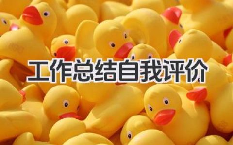 工作总结自我评价