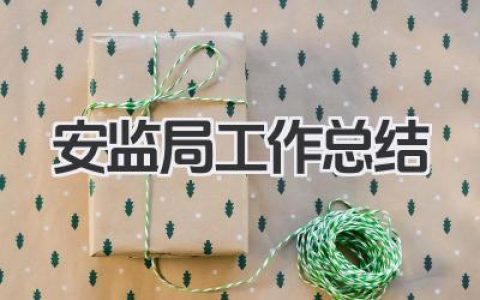 安监局工作总结