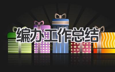 编办工作总结