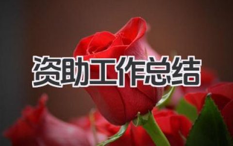 资助工作总结