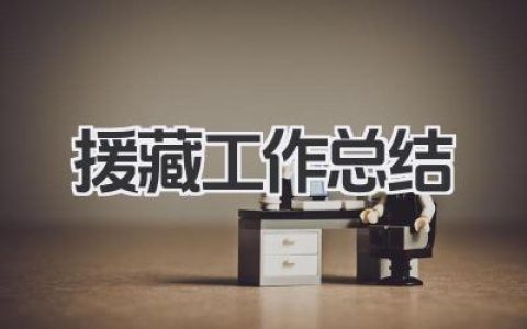 援藏工作总结