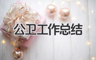 公卫工作总结