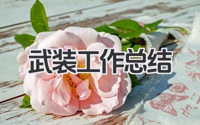武装工作总结