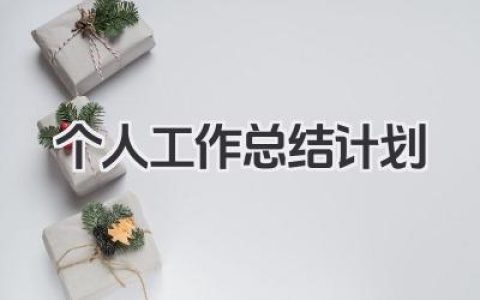个人工作总结计划
