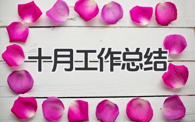 十月工作总结
