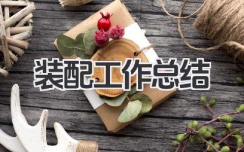 装配工作总结