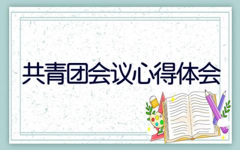 共青团会议心得体会